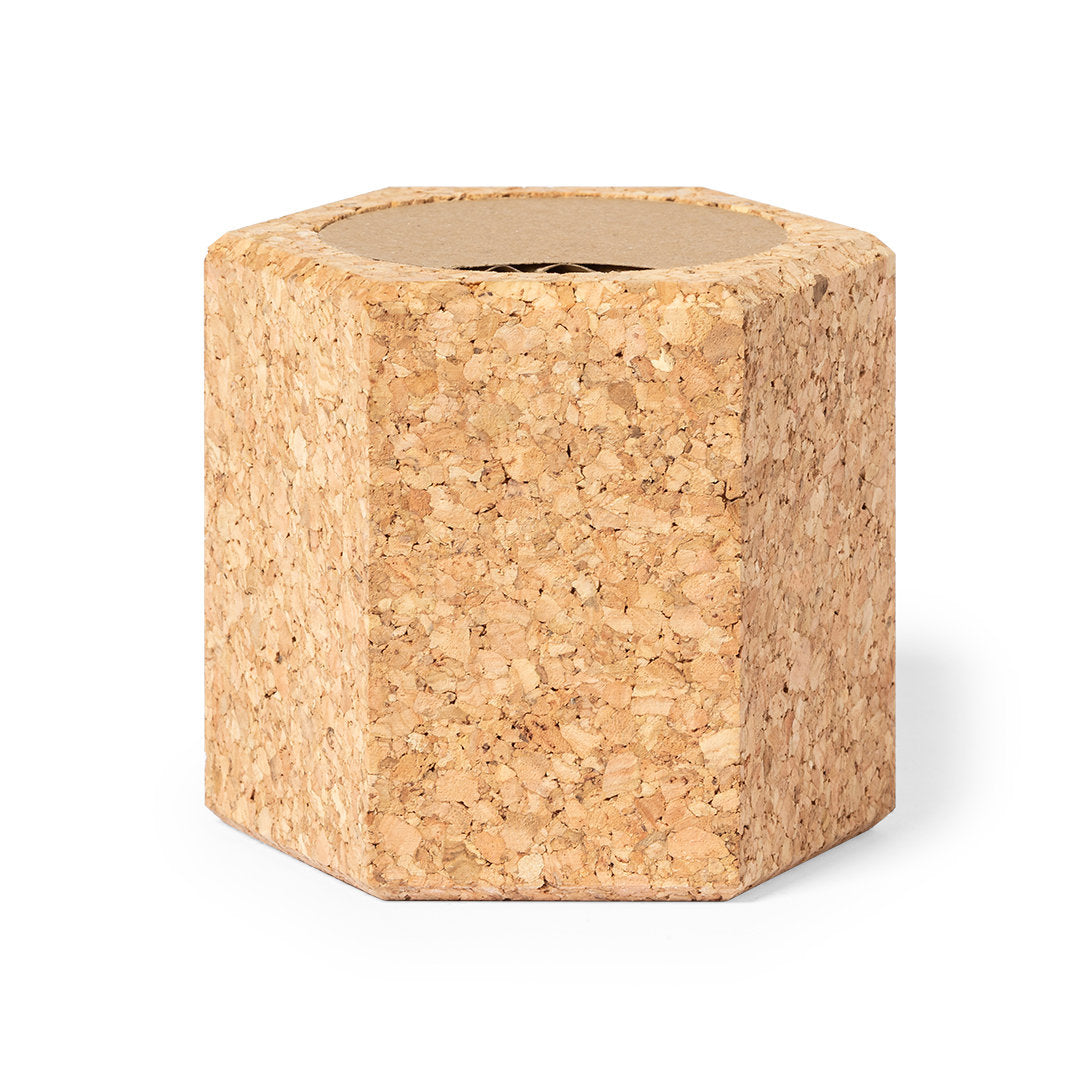 Blumentopf Kiefernsamen