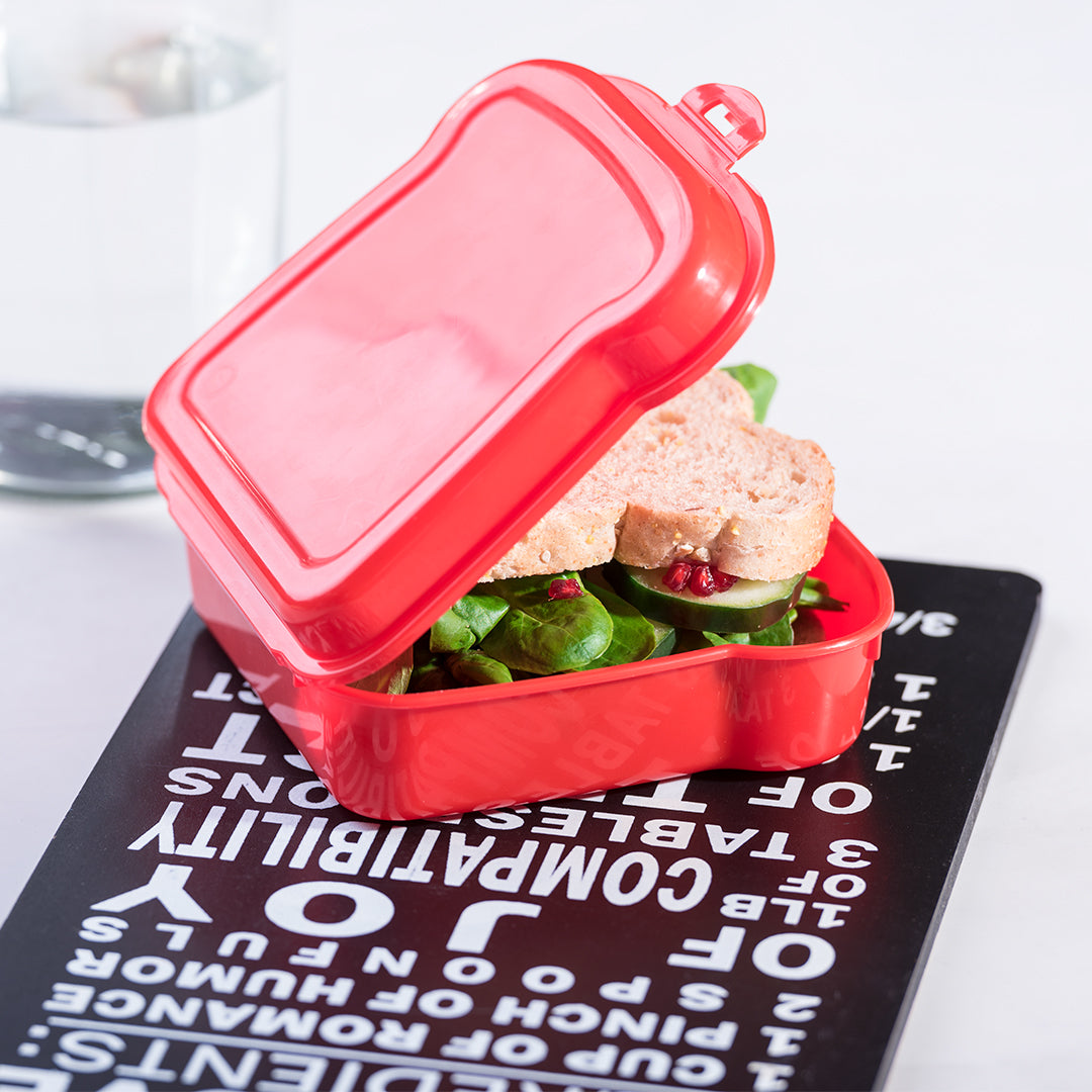Sandwich Lunch Box